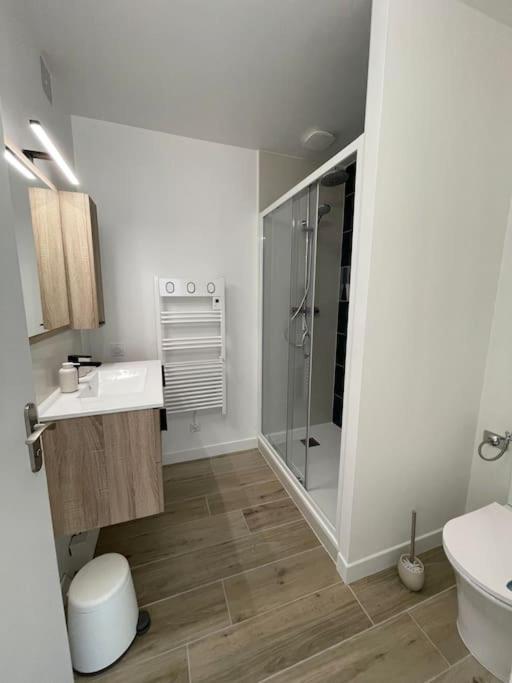 Appartement Proche Stade/Eurexpo Decines-Charpieu Bagian luar foto